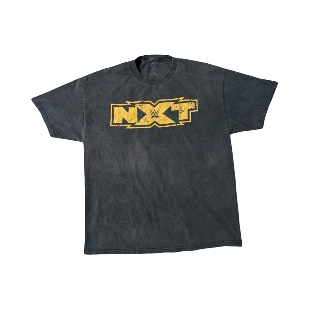 WWE NXT The Future Is Now Men's XL Distressed Faded Wrestling Shirt Retro